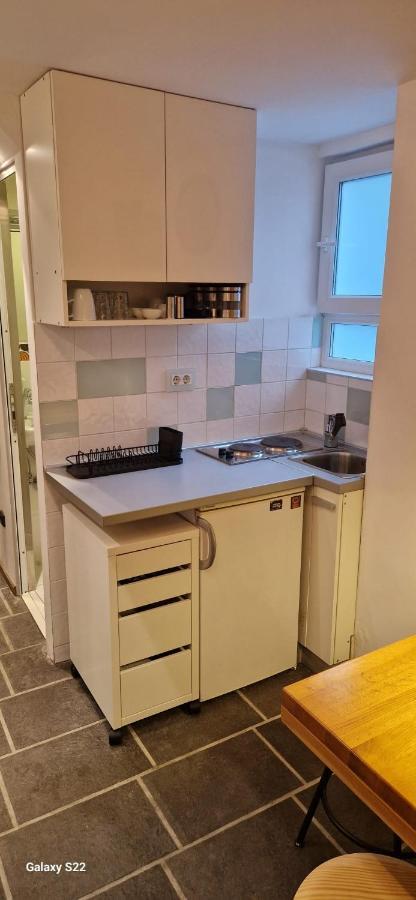 Micro Lägenhet Belgrad Exteriör bild
